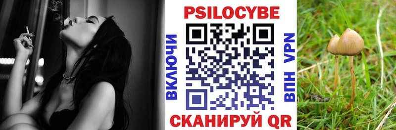 Псилоцибиновые грибы Magic Shrooms Кимовск